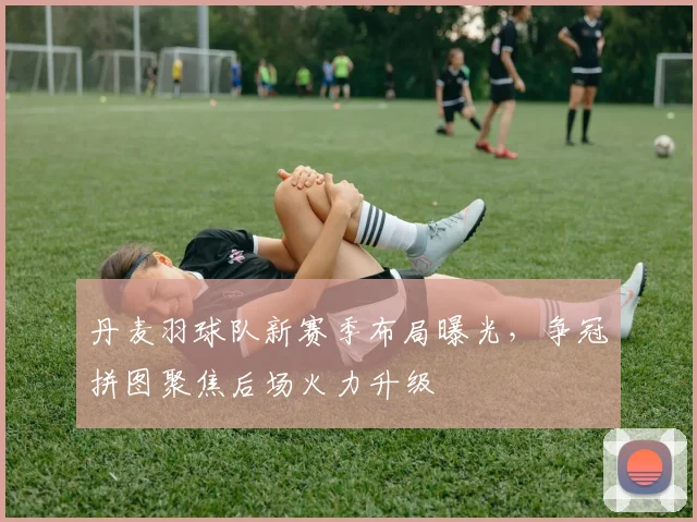 丹麦羽球队新赛季布局曝光，争冠拼图聚焦后场火力升级