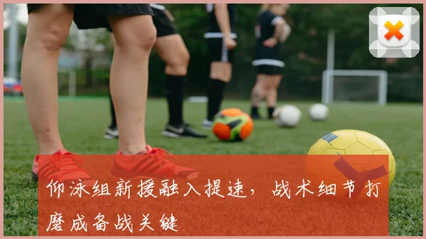 仰泳组新援融入提速，战术细节打磨成备战关键