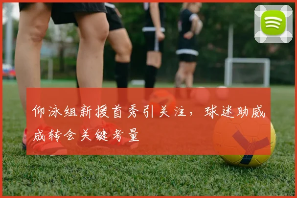 仰泳组新援首秀引关注，球迷助威成转会关键考量