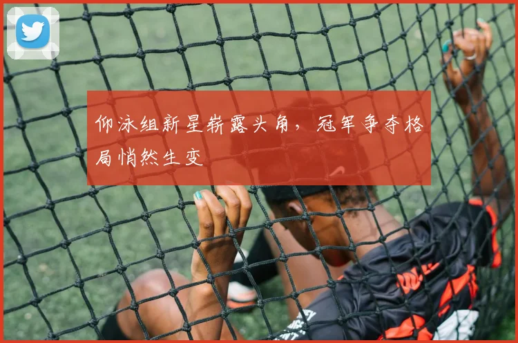 仰泳组新星崭露头角，冠军争夺格局悄然生变